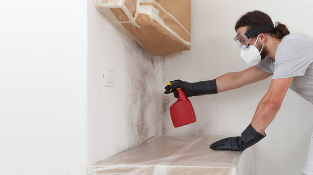 Professional Crawl Space Mold Remediation technician working in Franklinton, NC