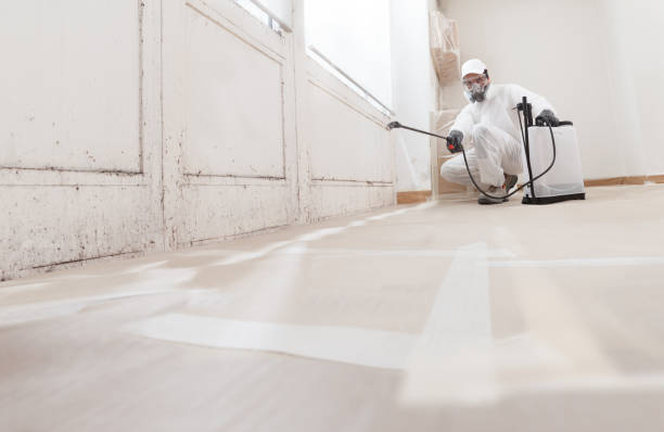 24/7 Emergency Crawl Space Mold Remediation experts in Franklinton, NC
